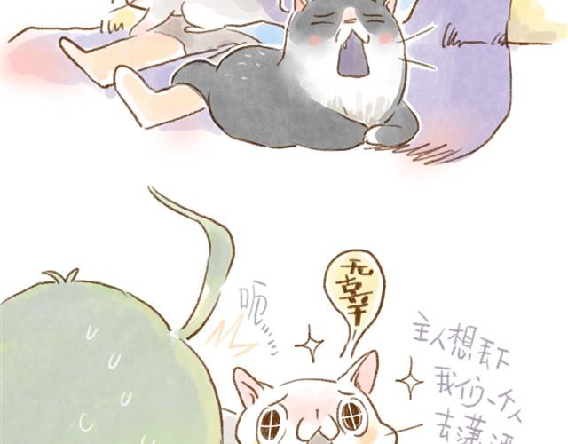 有猫在，不远行14