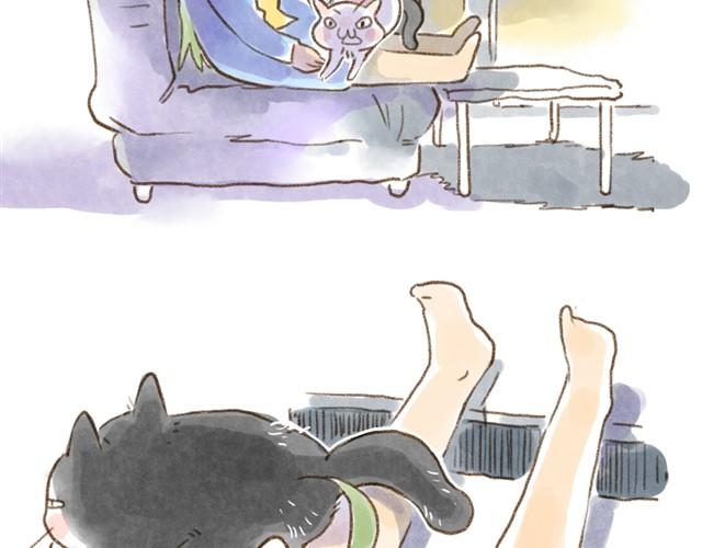 有猫在，不远行19