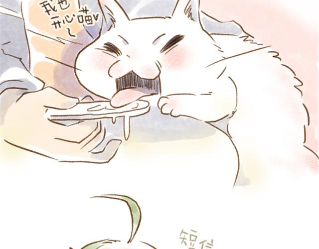 有猫在，不远行9