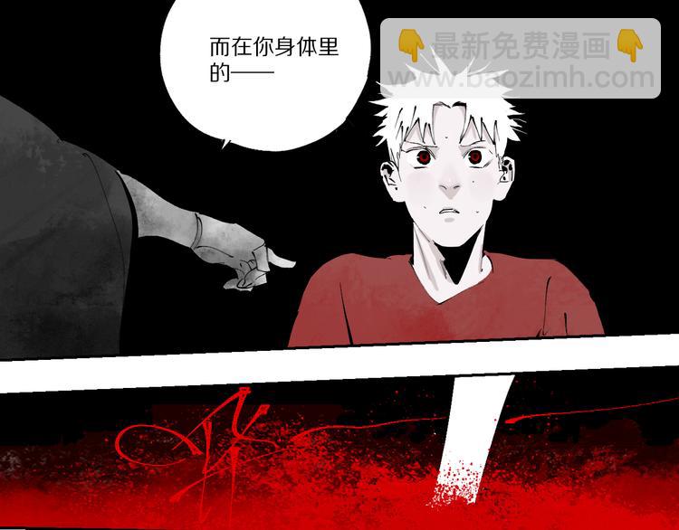 第74话 珊瑚187