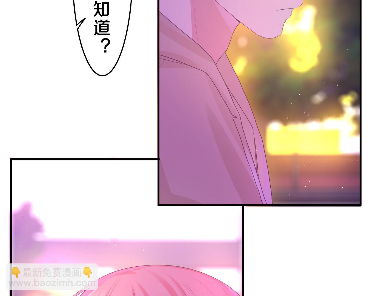第43话 大作战开始！17
