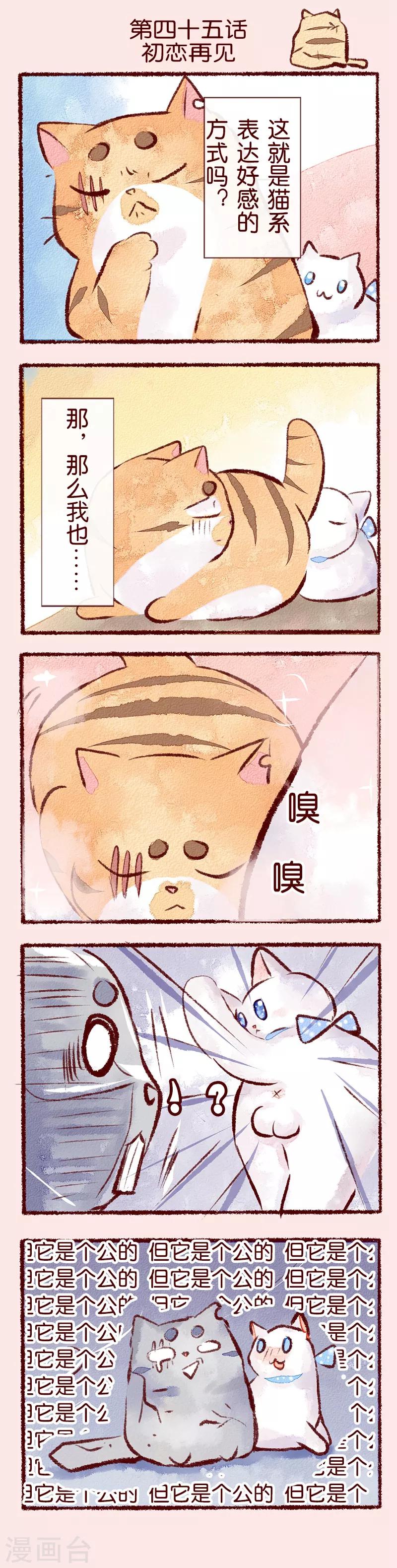 第45话 初恋再见0