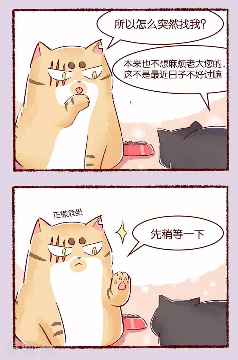 第114话 阿黑1