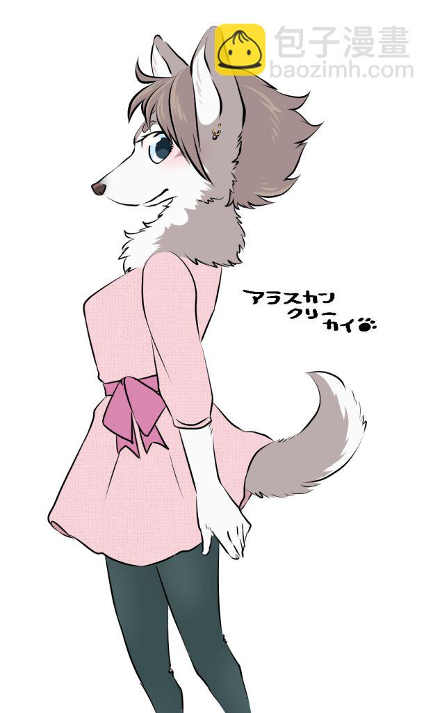 附录17
