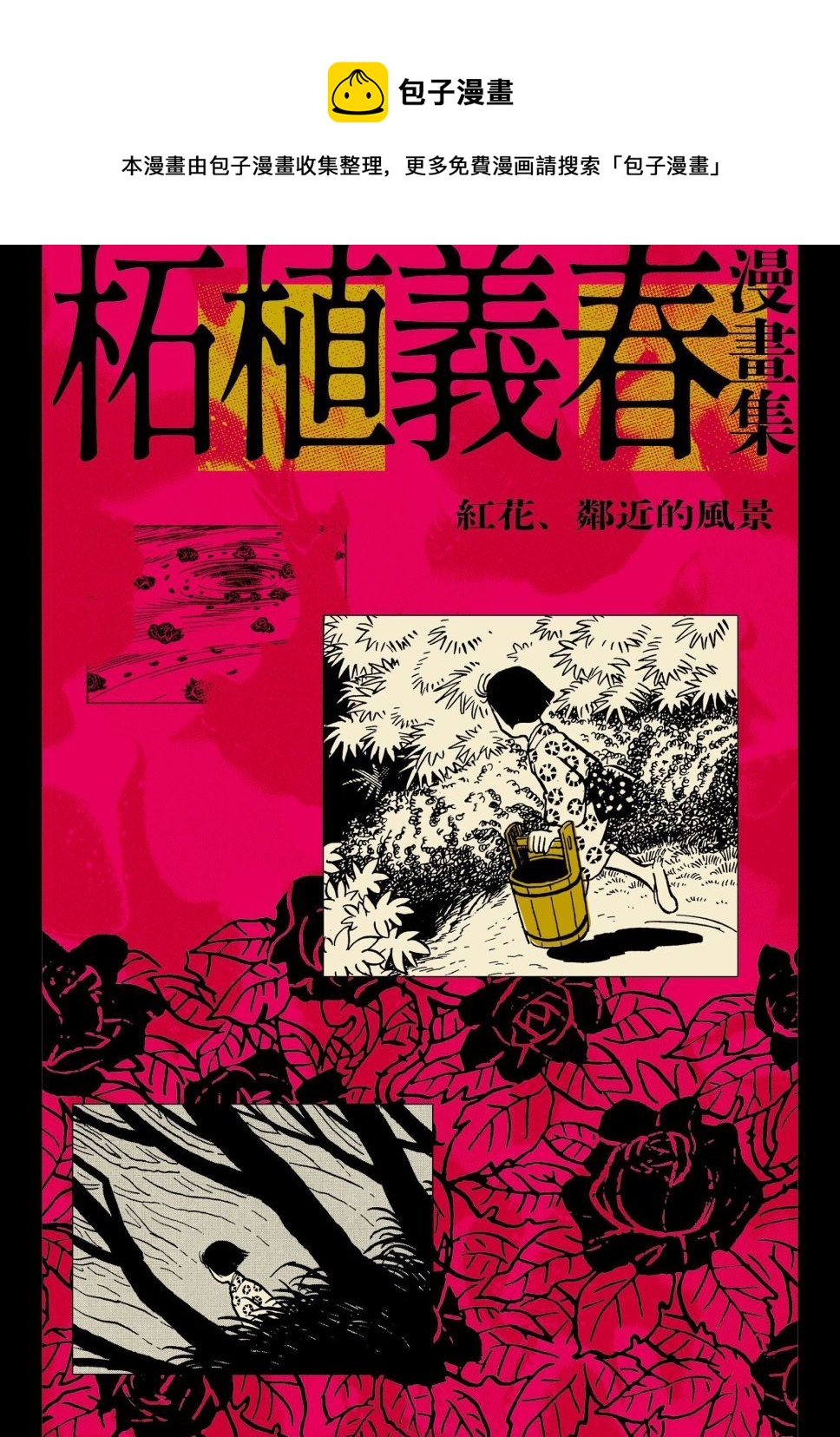 红花、邻近的风景0
