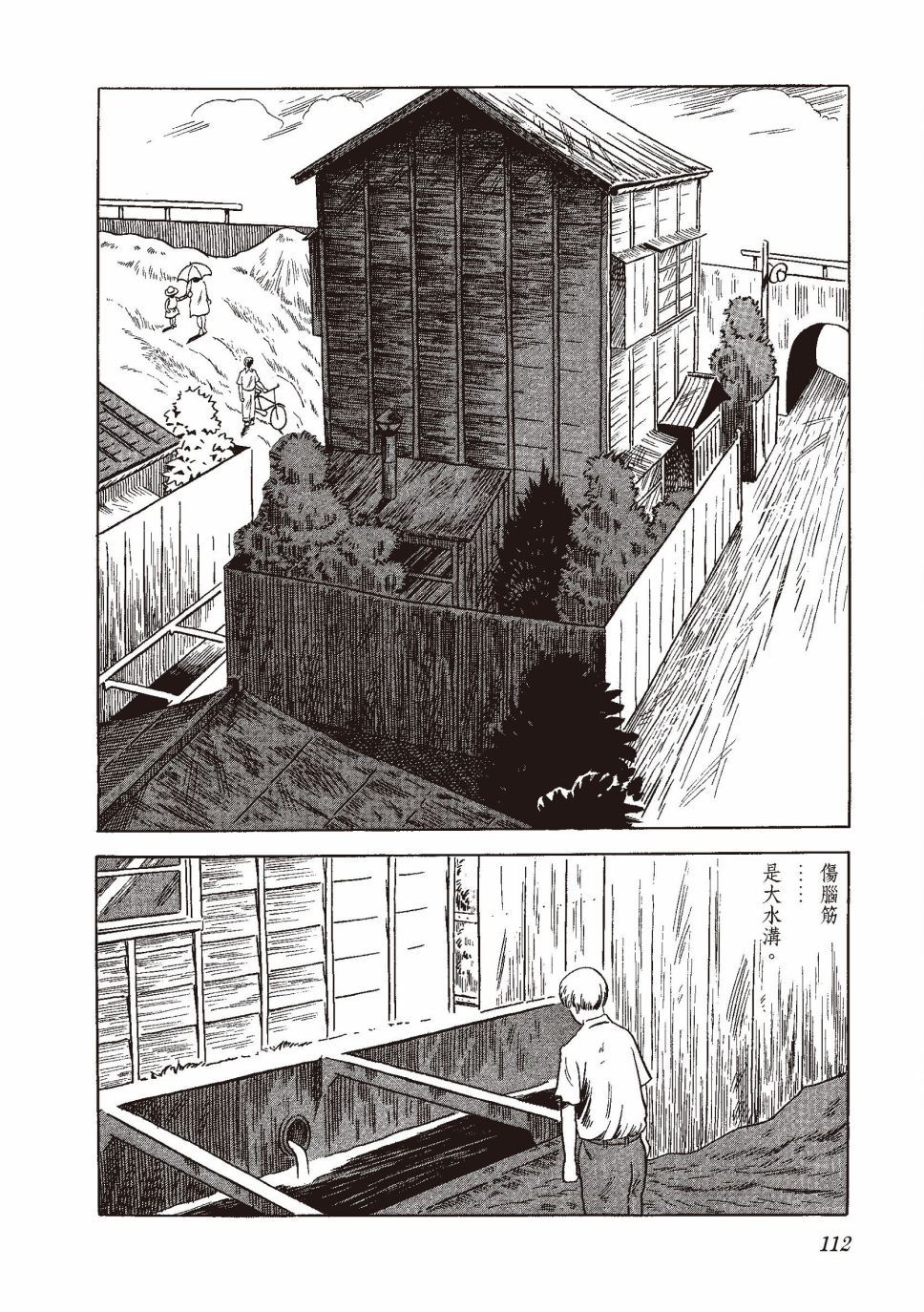 红花、邻近的风景123
