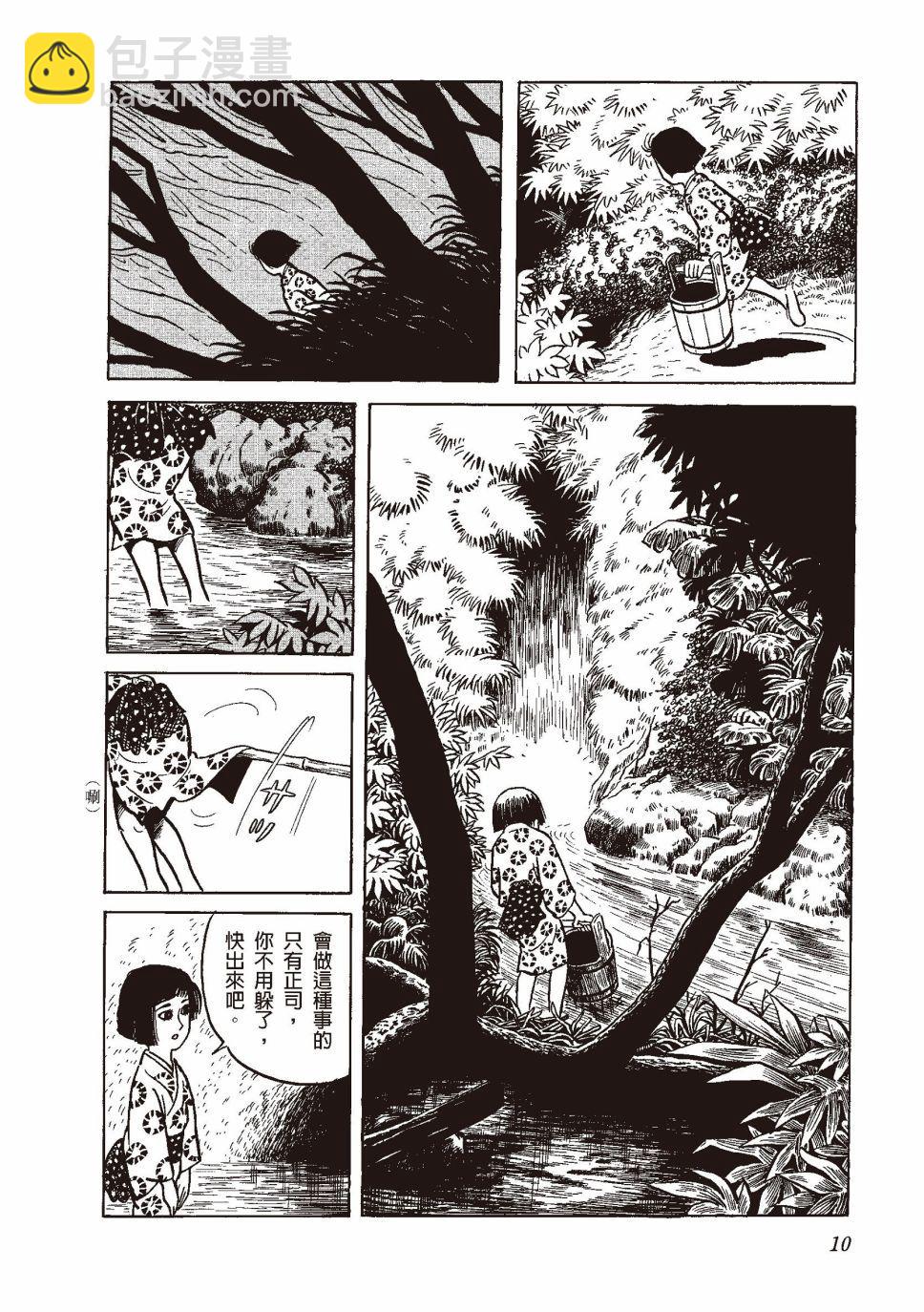 红花、邻近的风景13