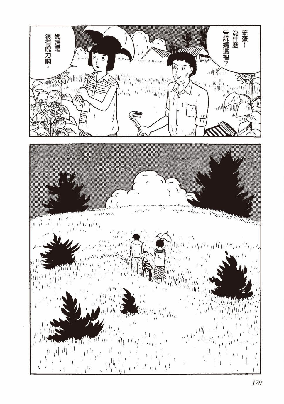 红花、邻近的风景185