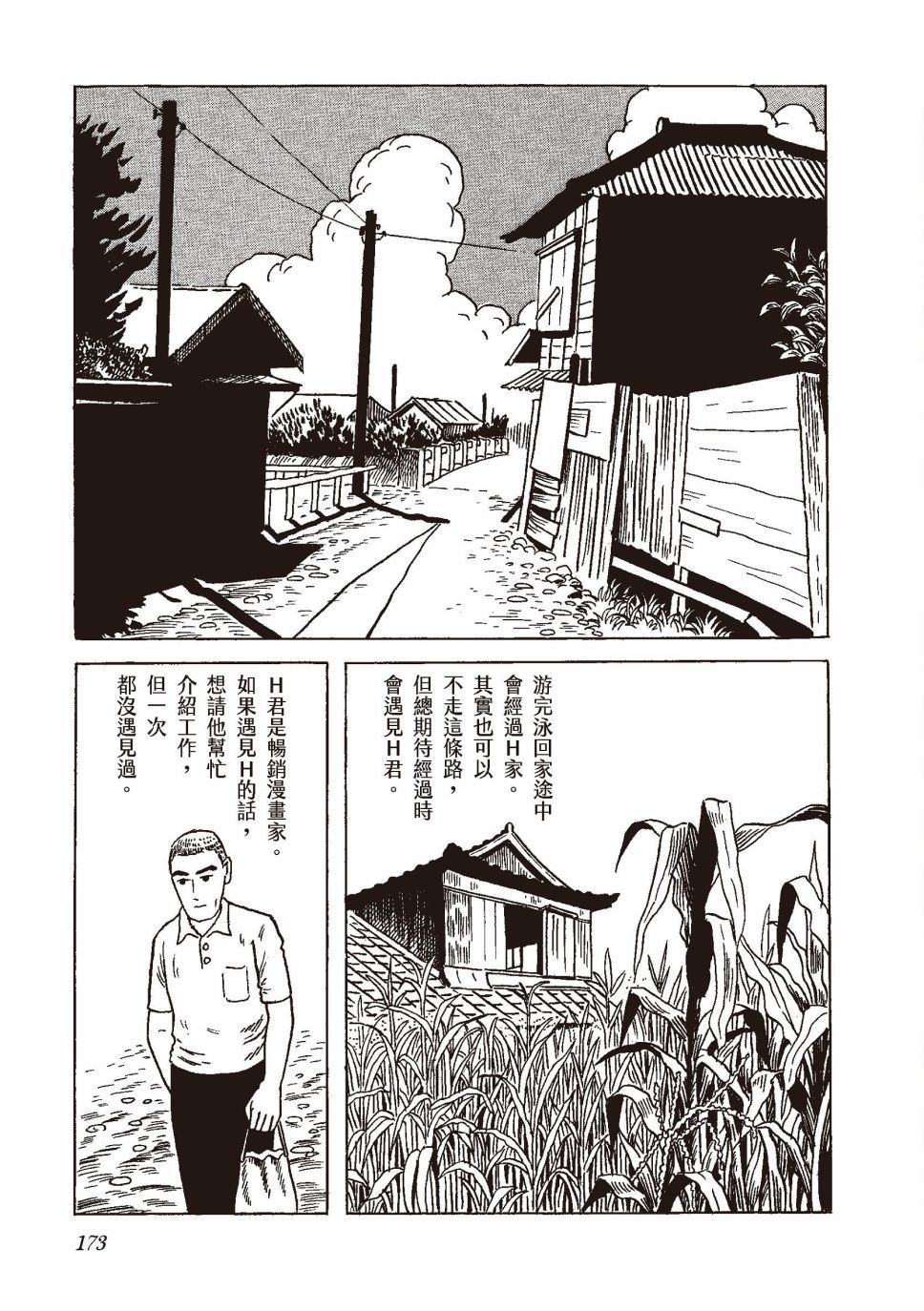 红花、邻近的风景188