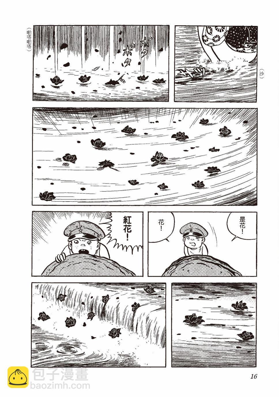 红花、邻近的风景19