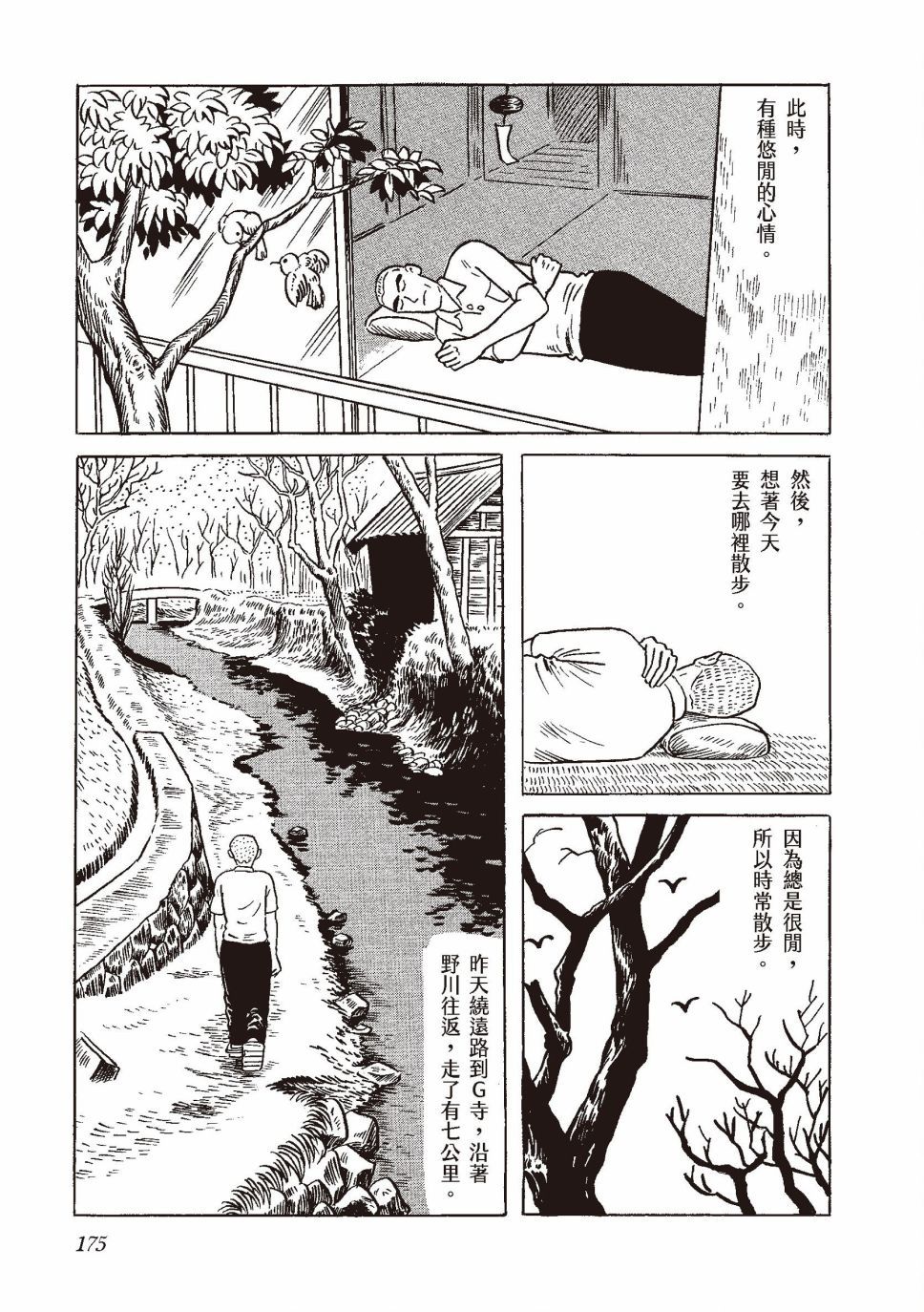 红花、邻近的风景190