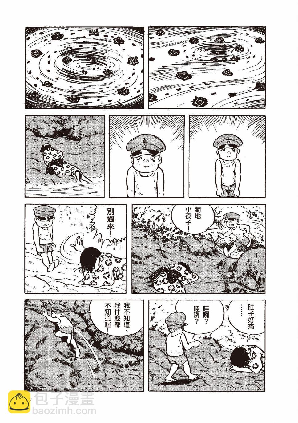 红花、邻近的风景20