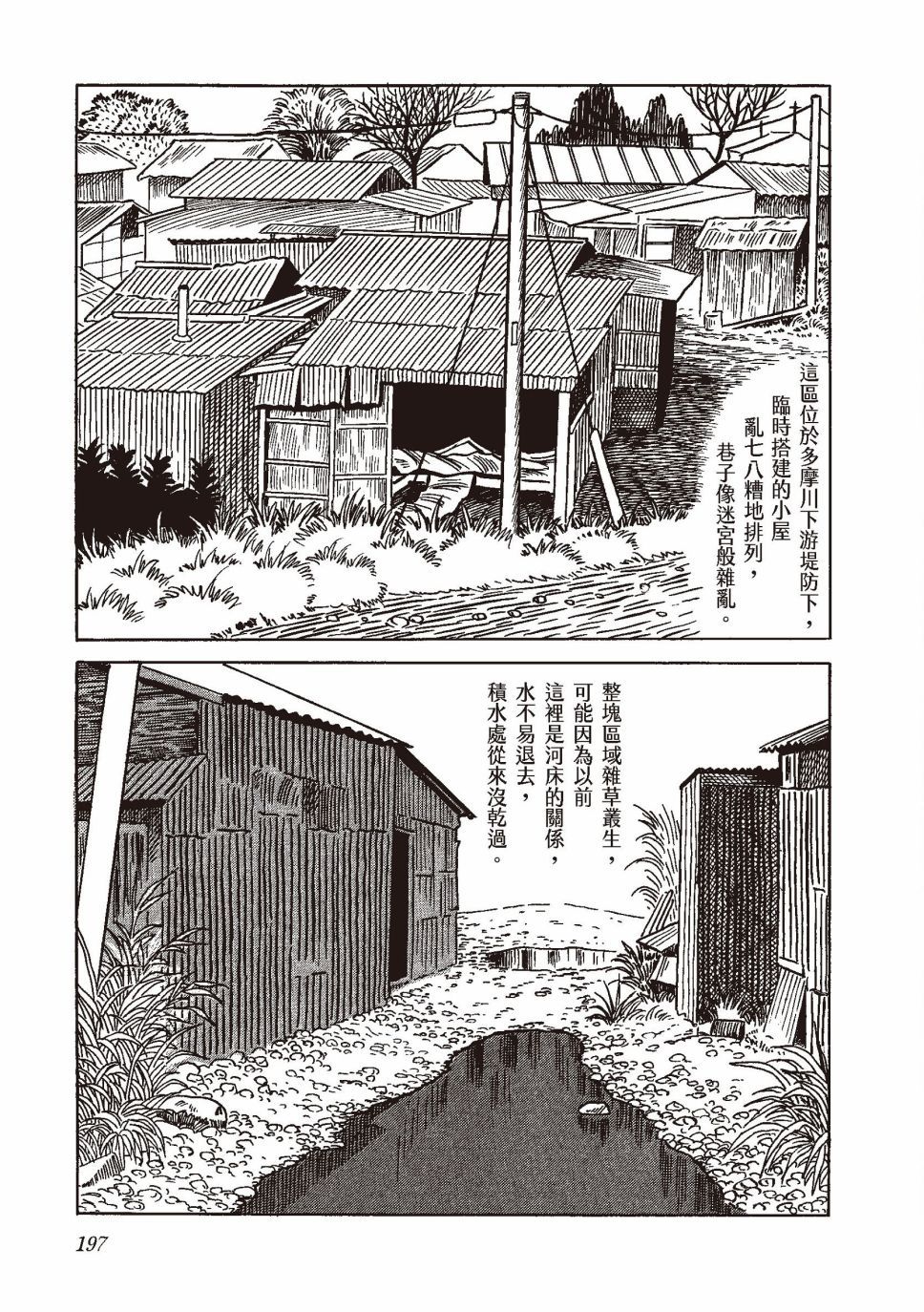 红花、邻近的风景216