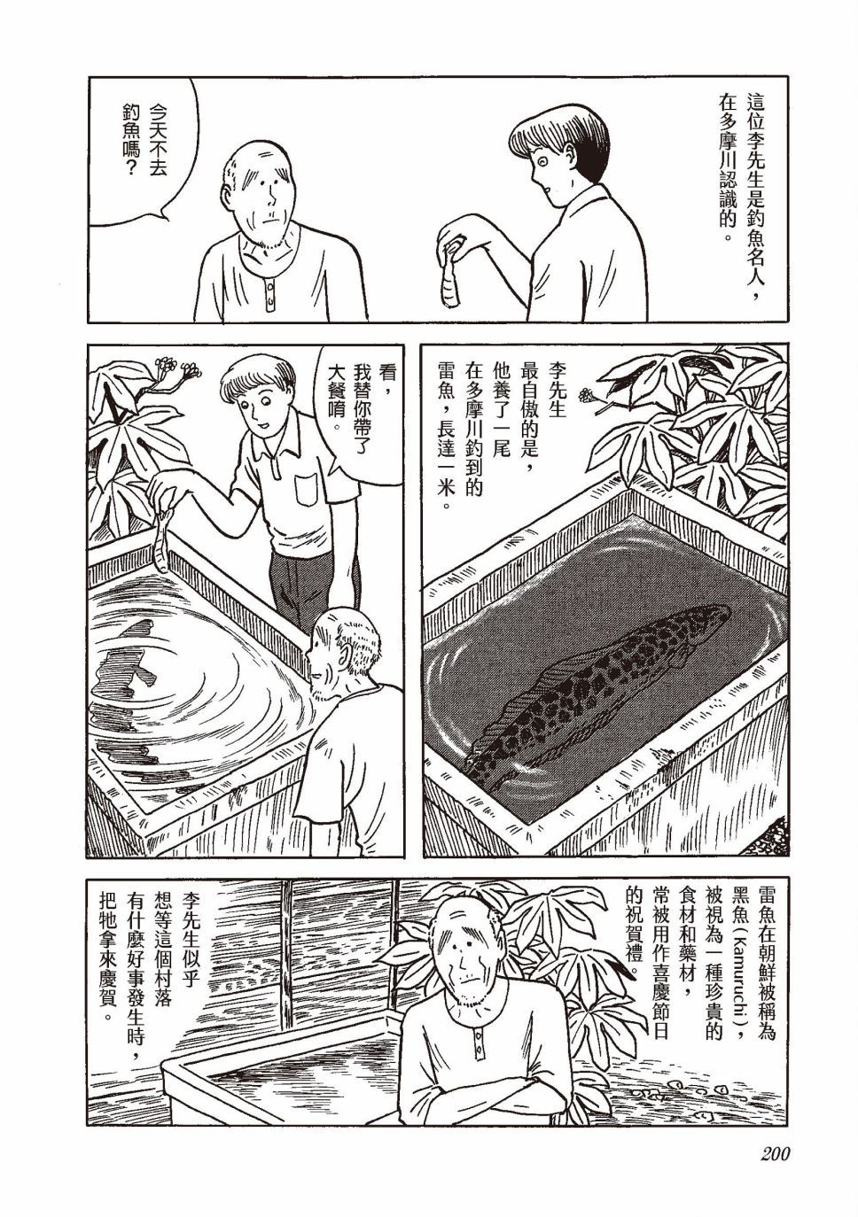 红花、邻近的风景219