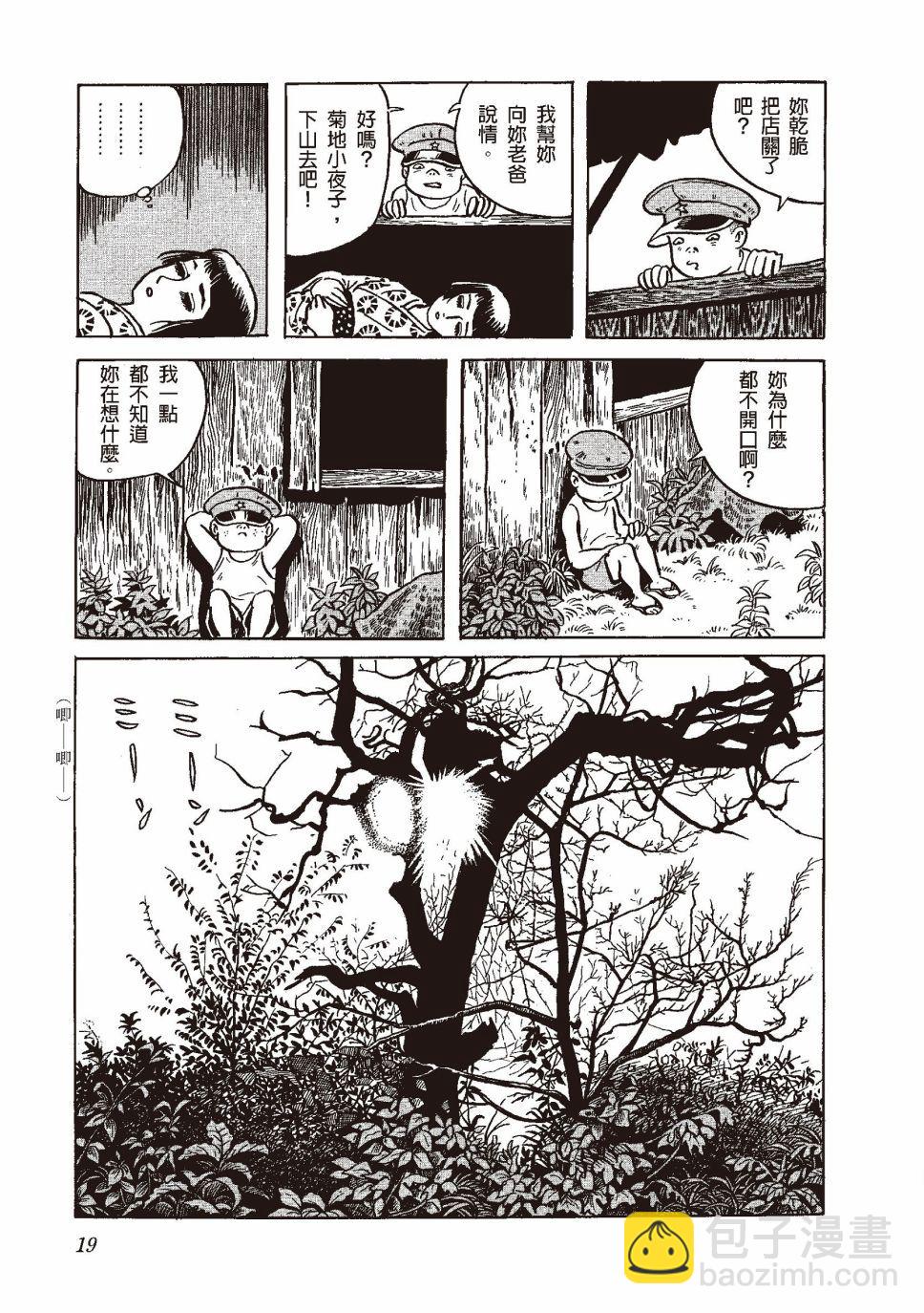 红花、邻近的风景22