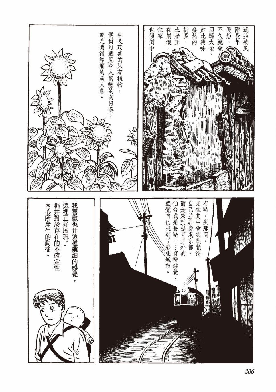 红花、邻近的风景225