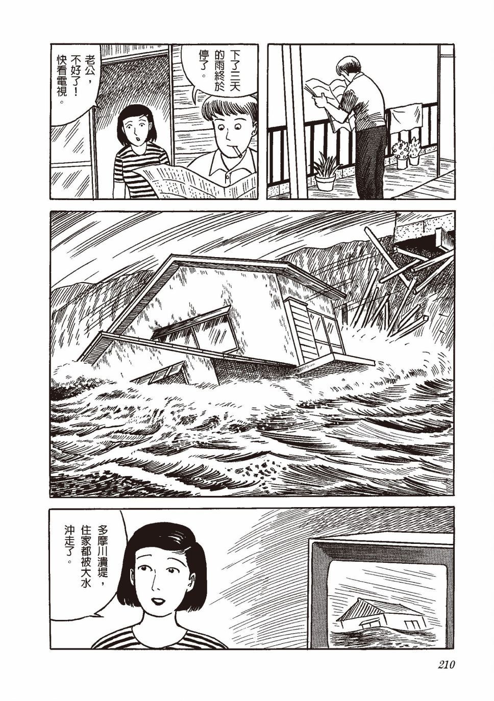 红花、邻近的风景229