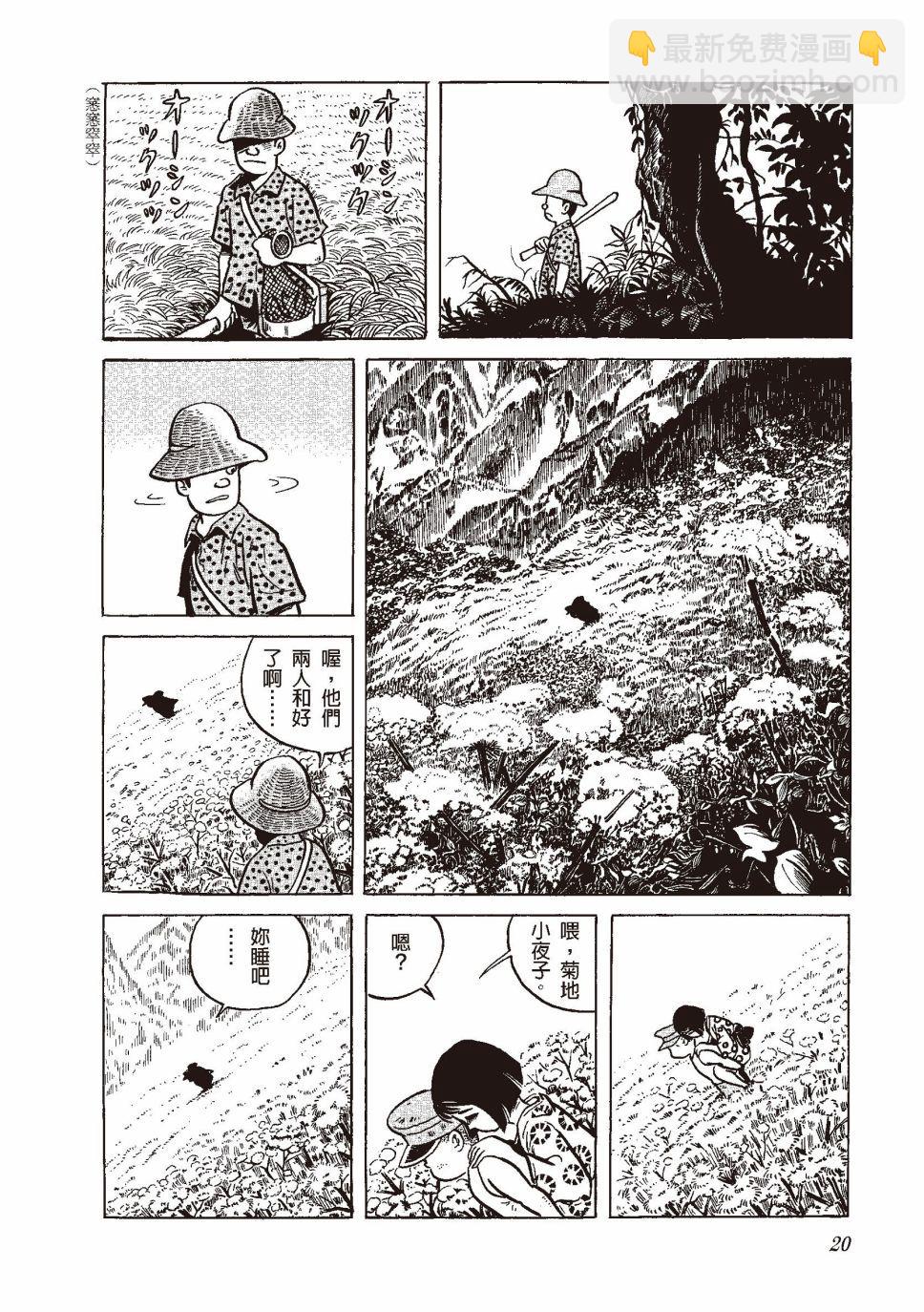 红花、邻近的风景23