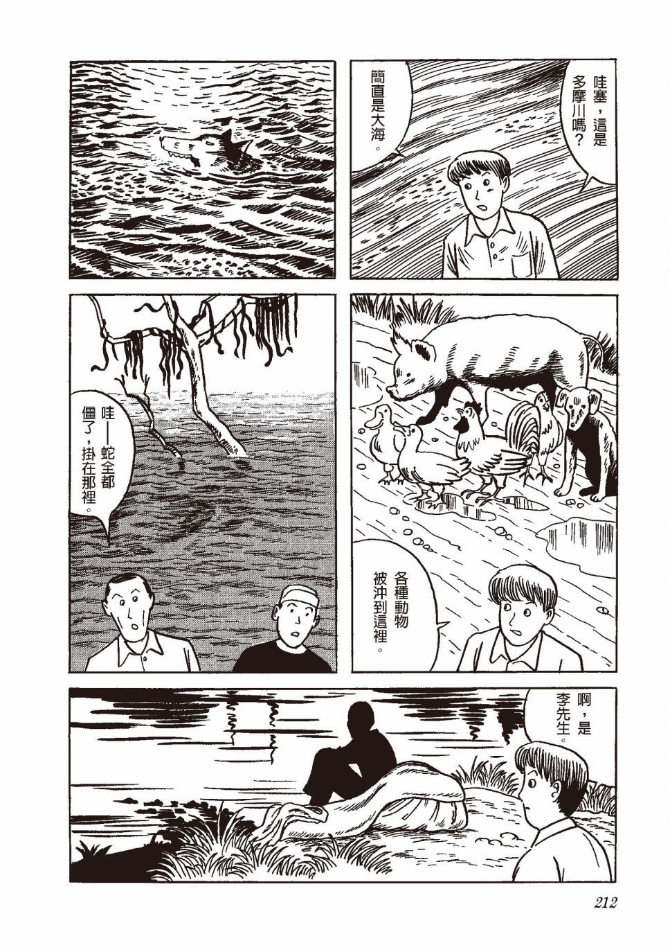 红花、邻近的风景231