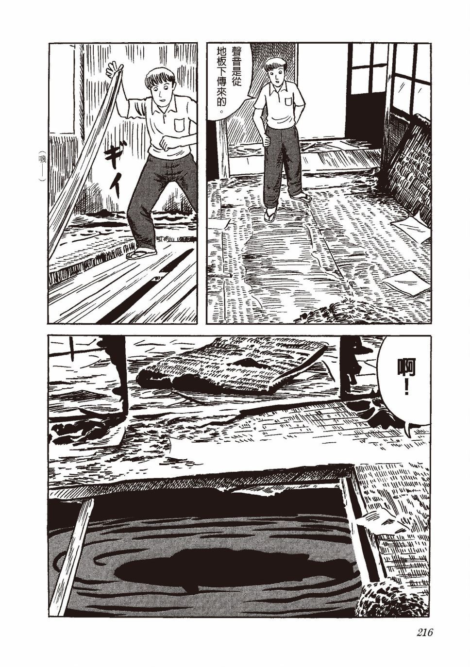 红花、邻近的风景235