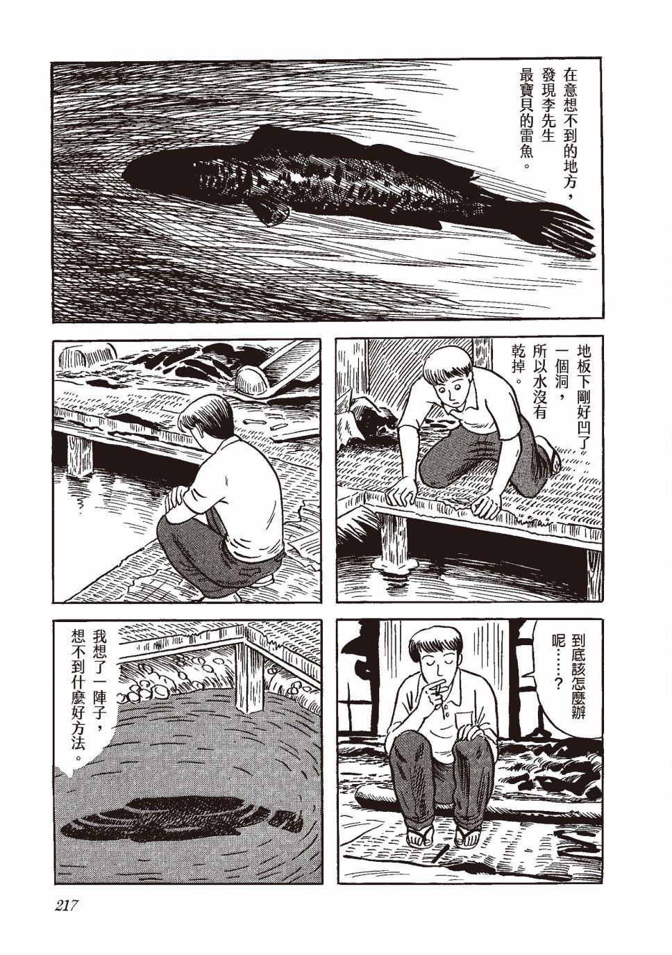 红花、邻近的风景236