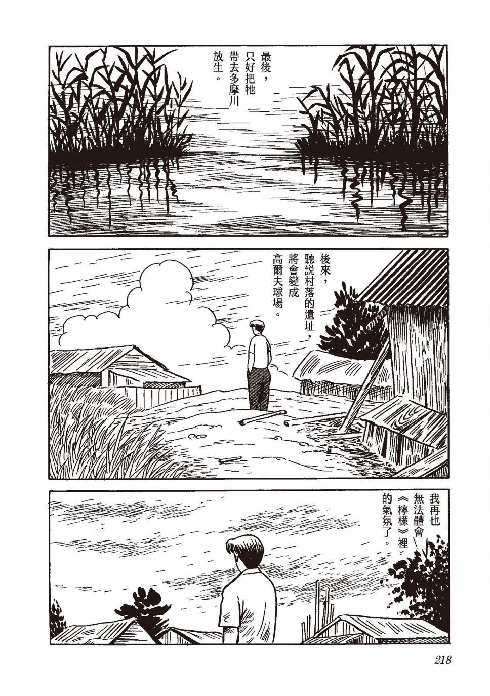 红花、邻近的风景237