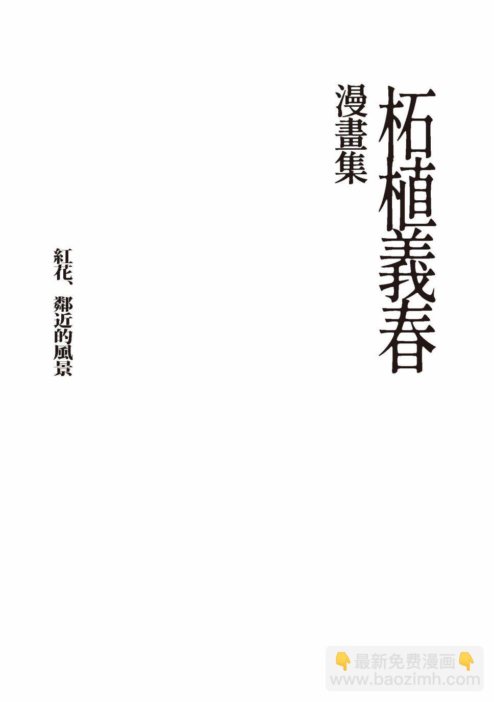 红花、邻近的风景4