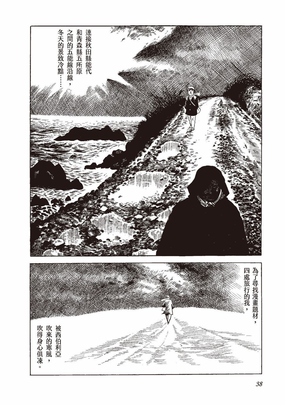 红花、邻近的风景41