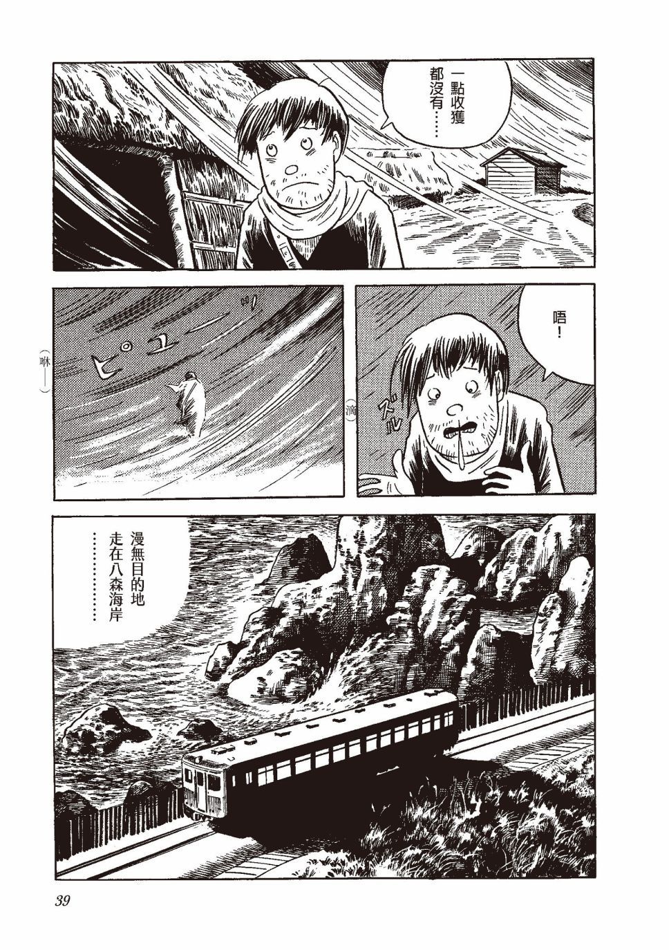 红花、邻近的风景42