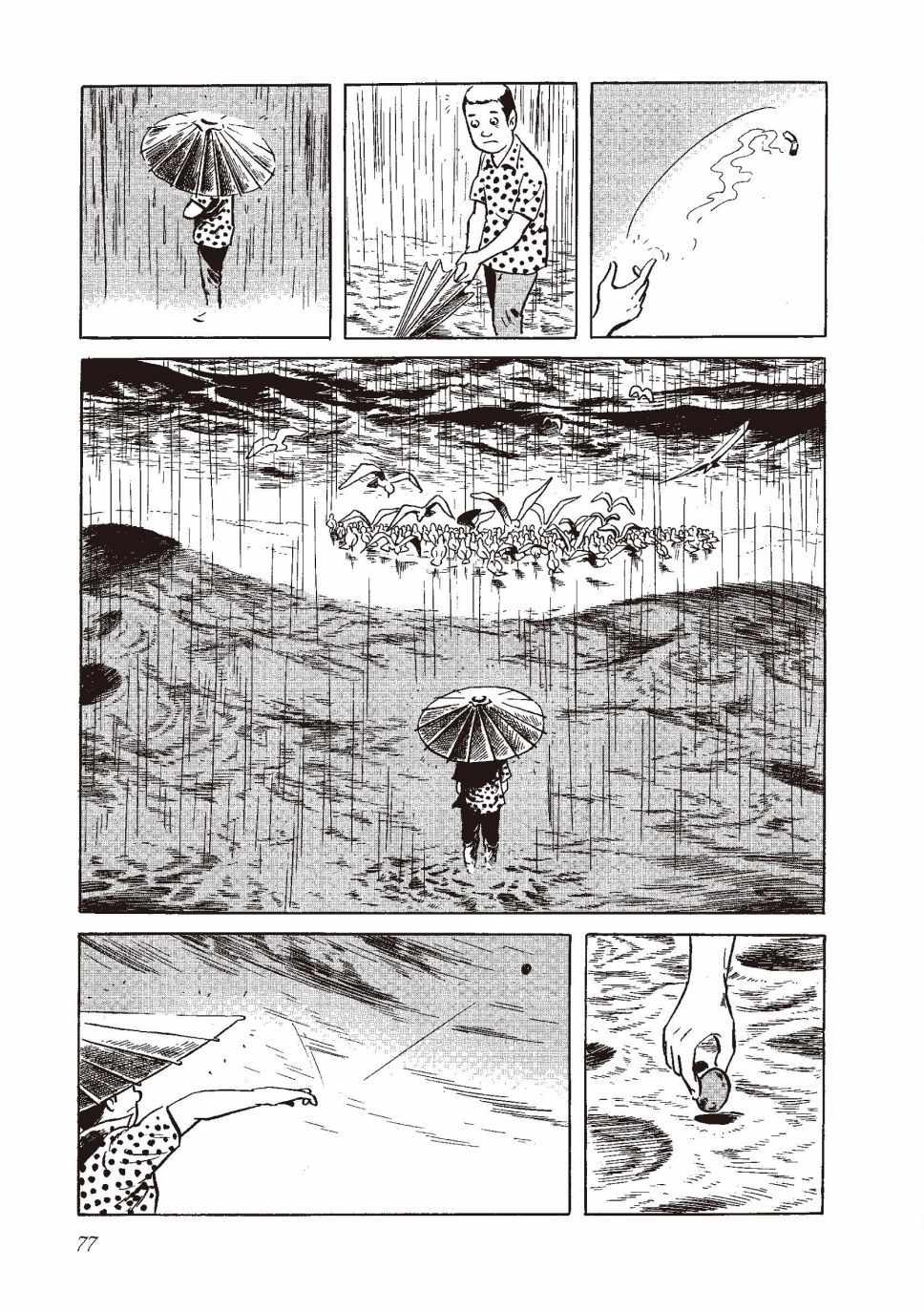 红花、邻近的风景84