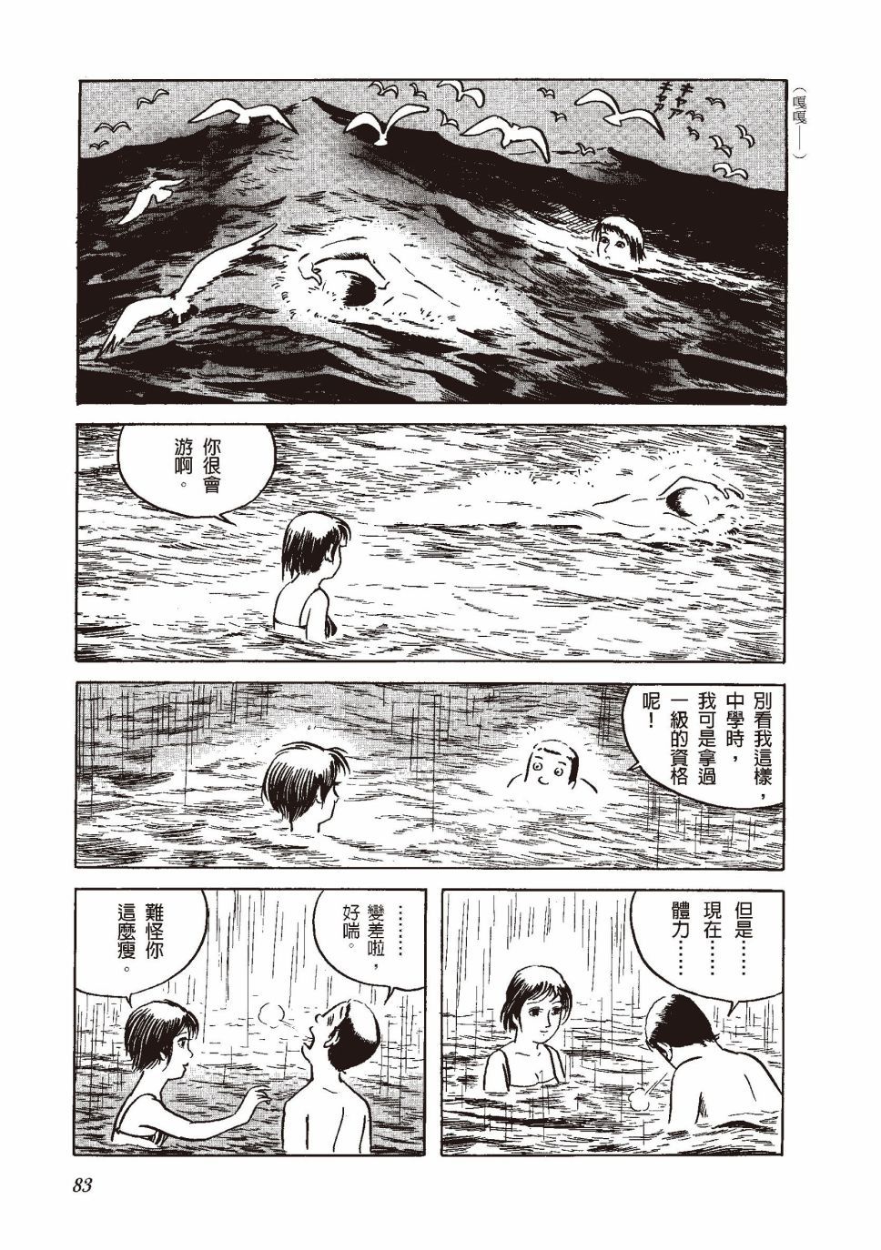 红花、邻近的风景90