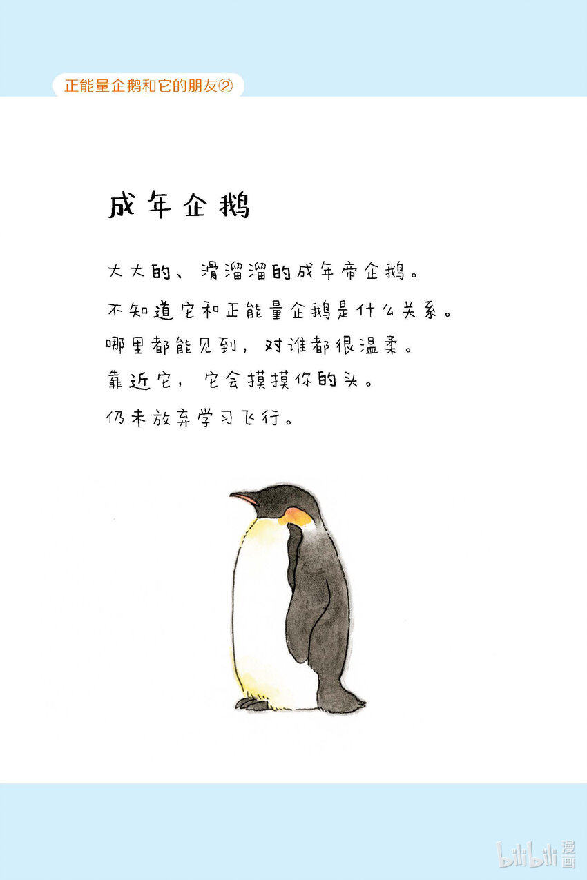 试阅 试阅13