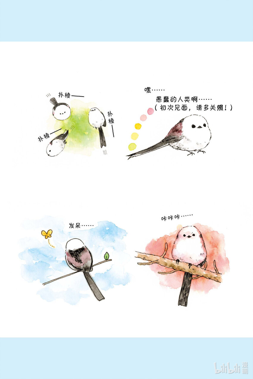 试阅 试阅20