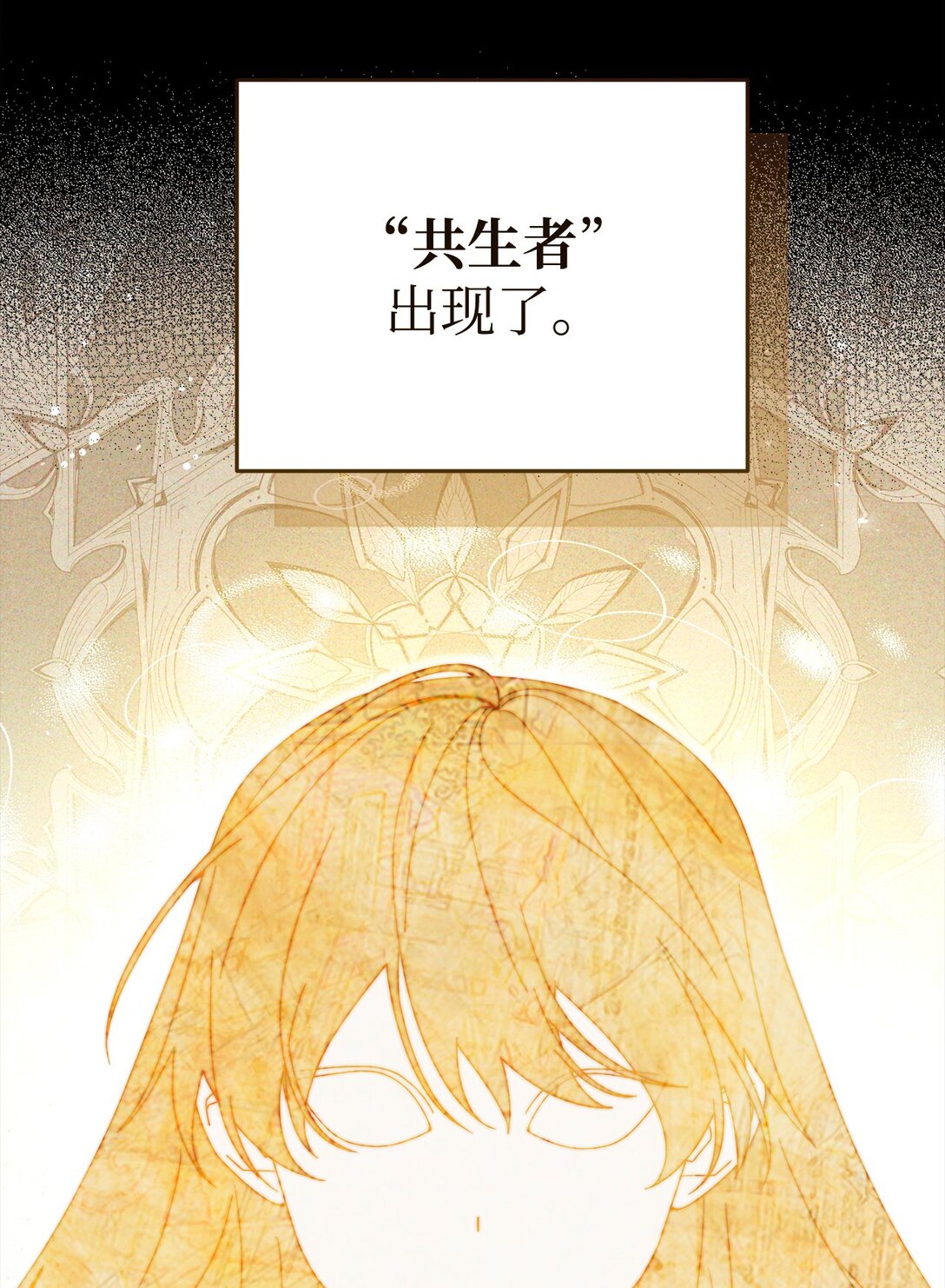114 只有光的世界57