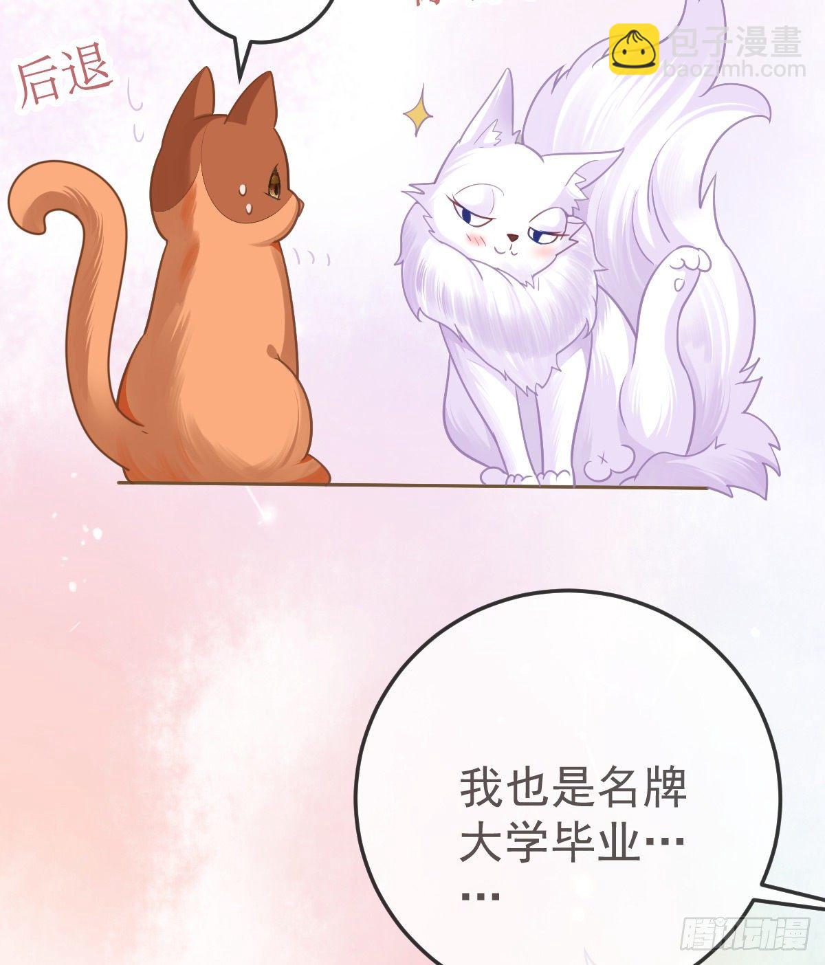 第36话 不愧是专业的13
