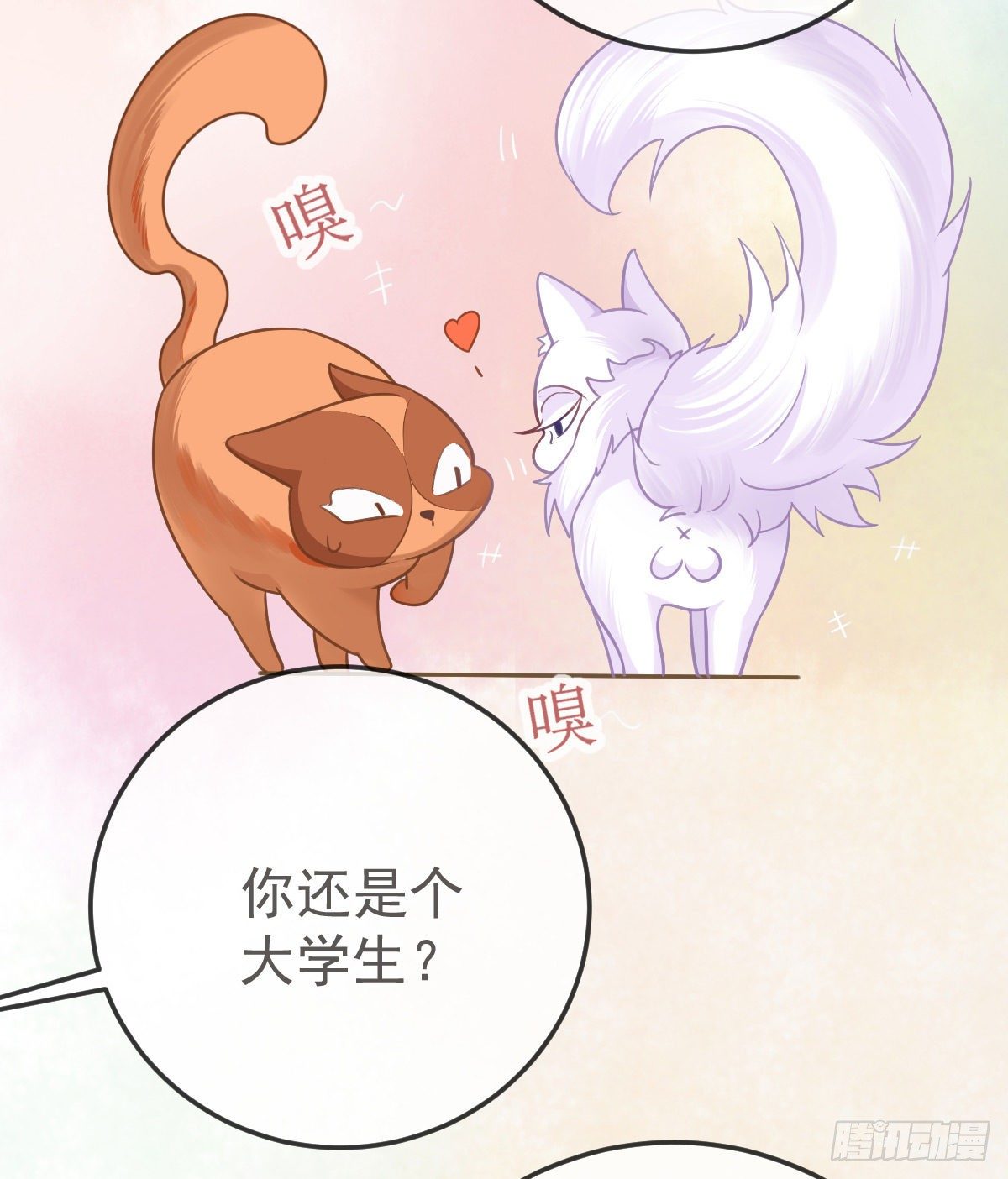 第36话 不愧是专业的14