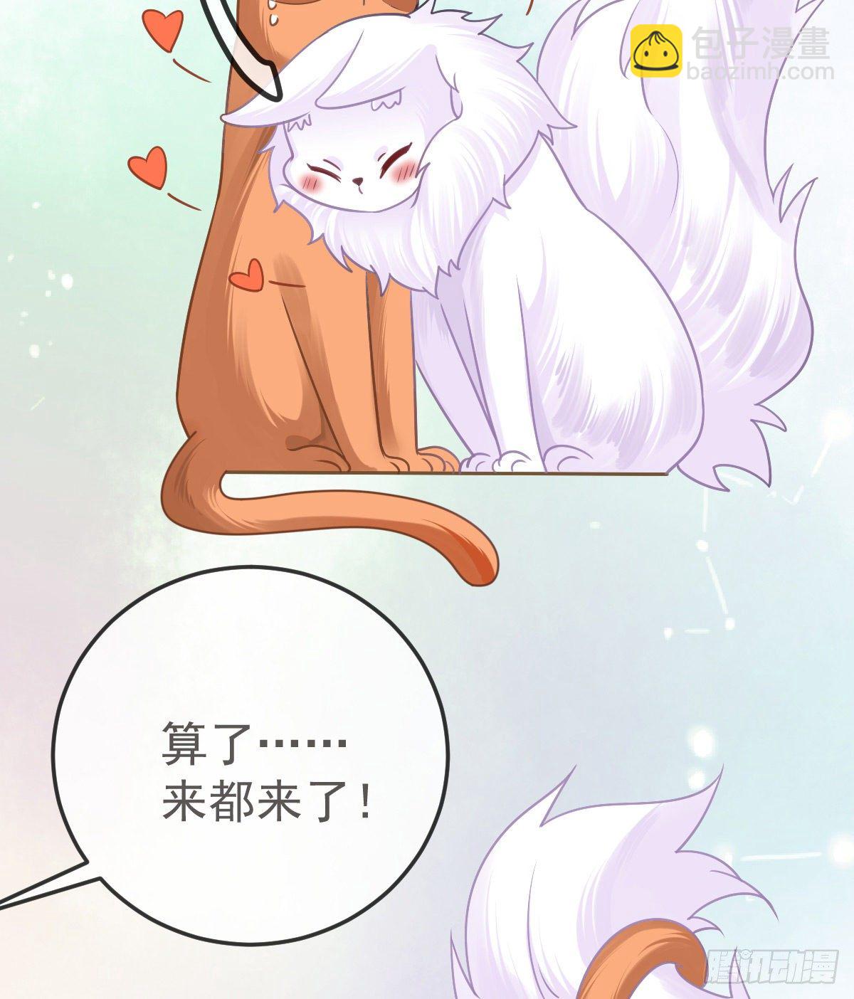 第36话 不愧是专业的16