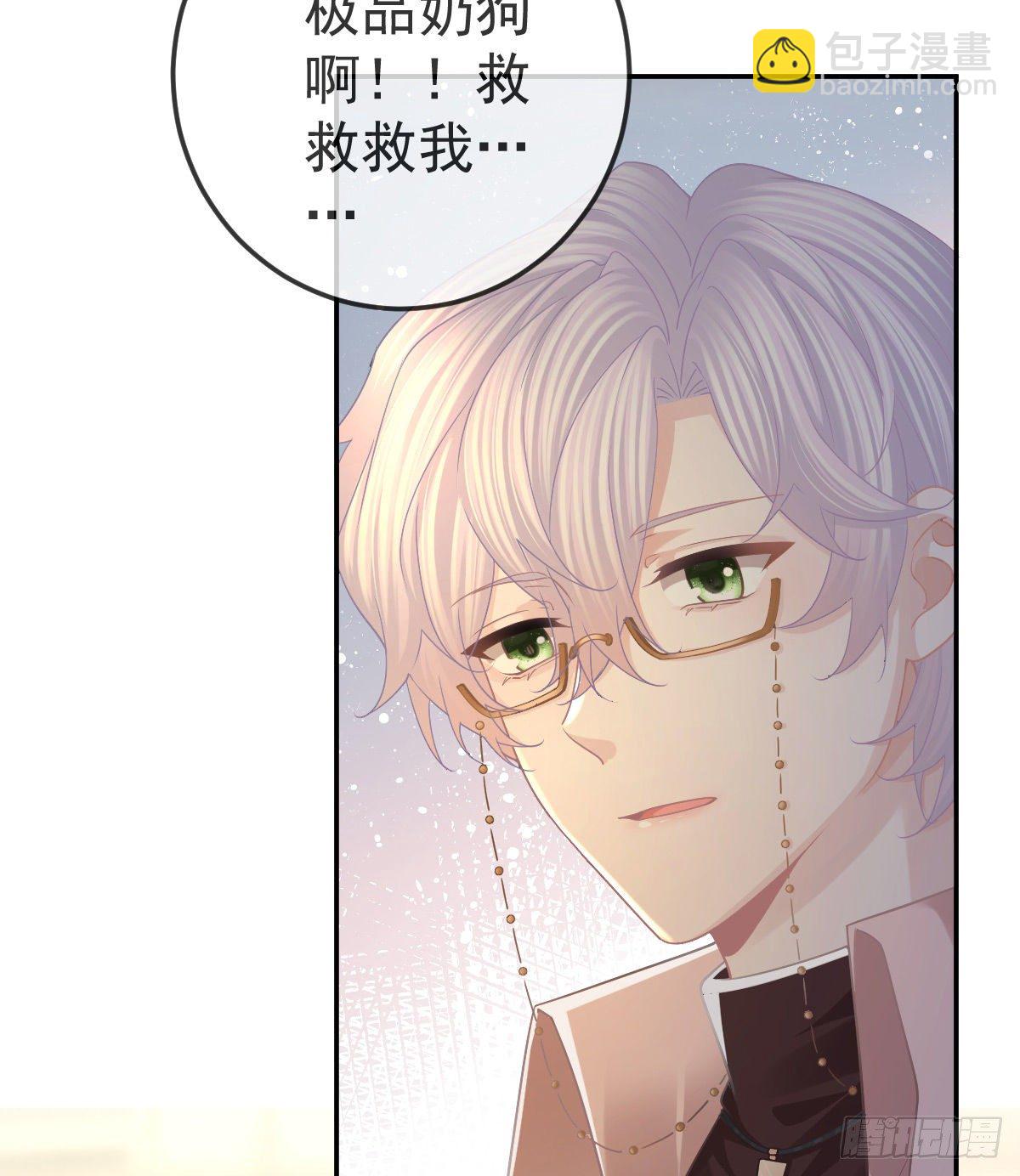 第71话 极品小奶狗5