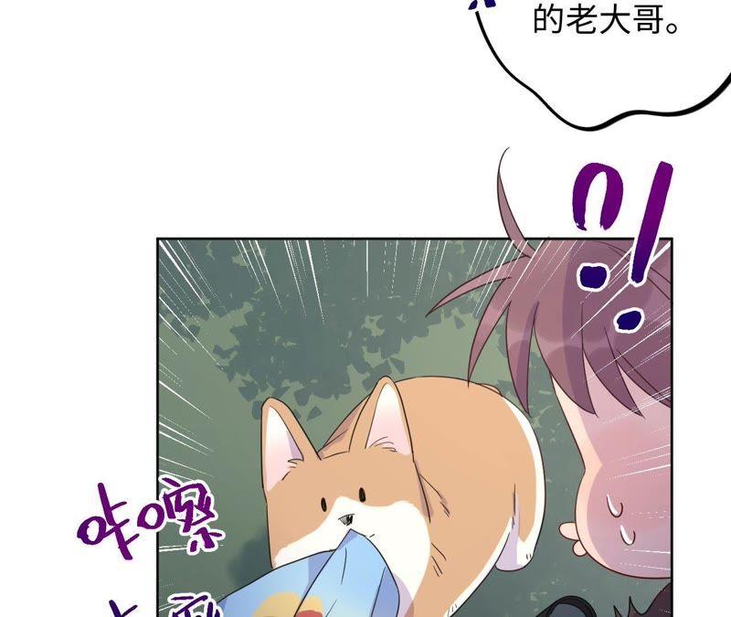 第64话 常肃又被……43