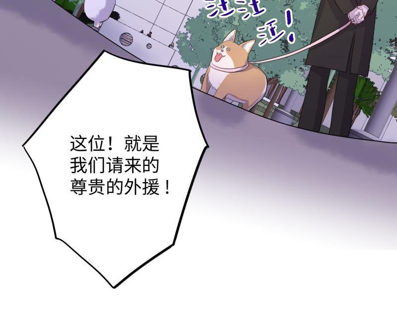 第74话 反击战开始！5