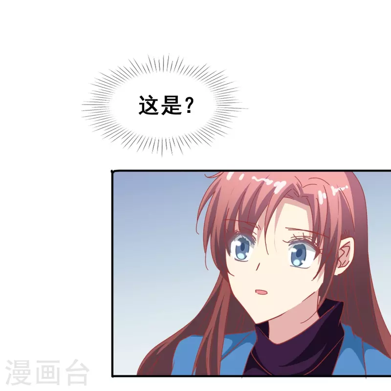 第49话 事关向以轩的安危11