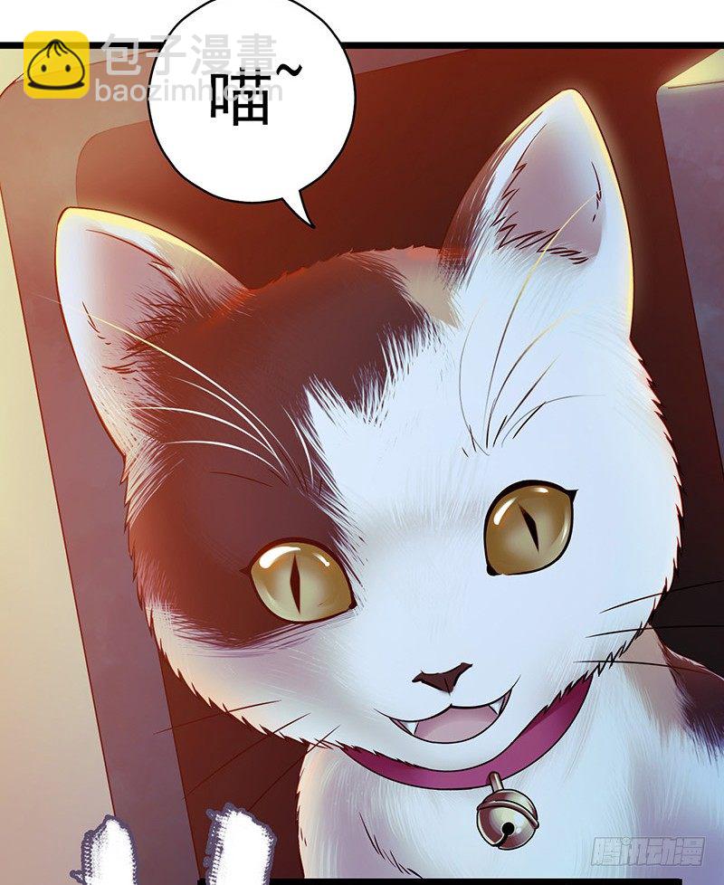 第5章 猫与猫眼石251