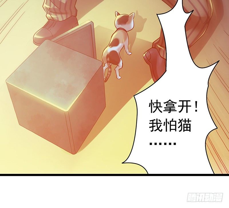 第5章 猫与猫眼石254