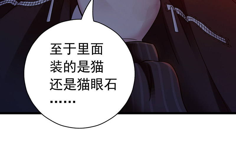 第5章 猫与猫眼石261