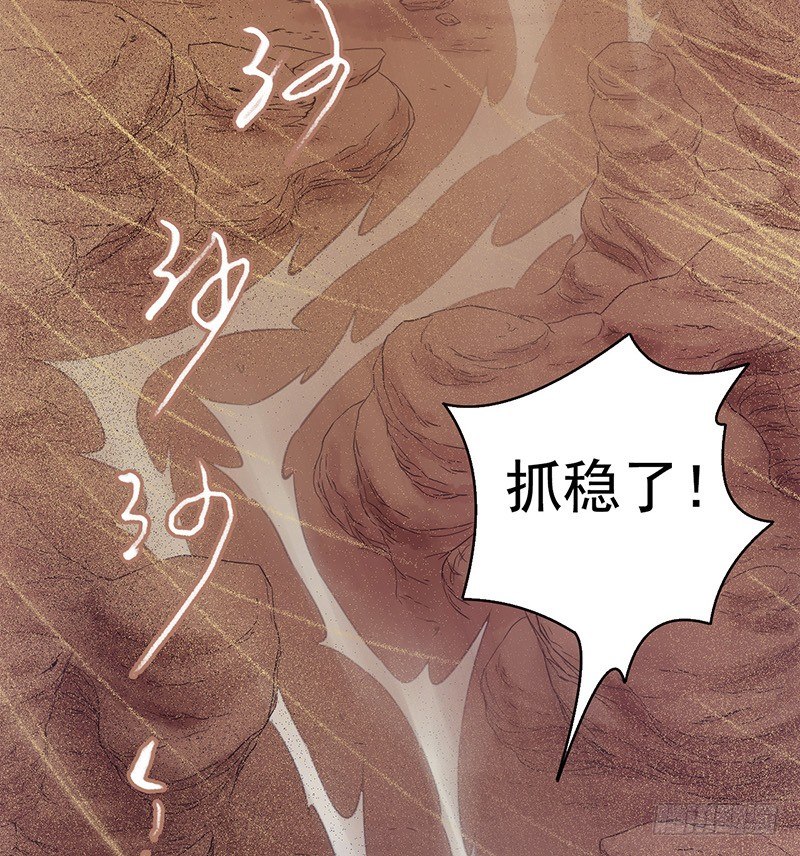 第7章 永生花333