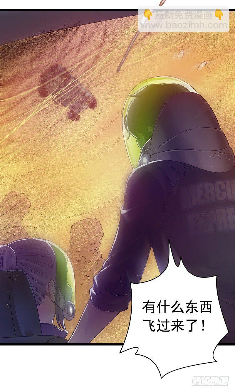 第7章 永生花335