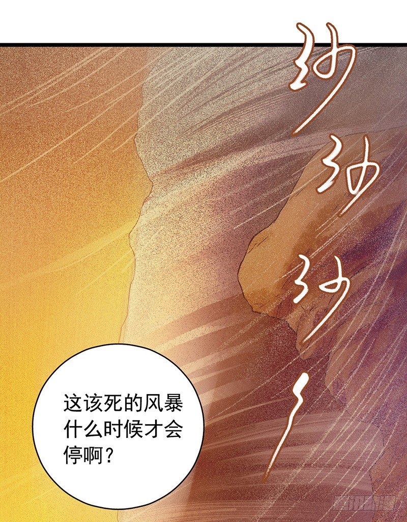 第7章 永生花339