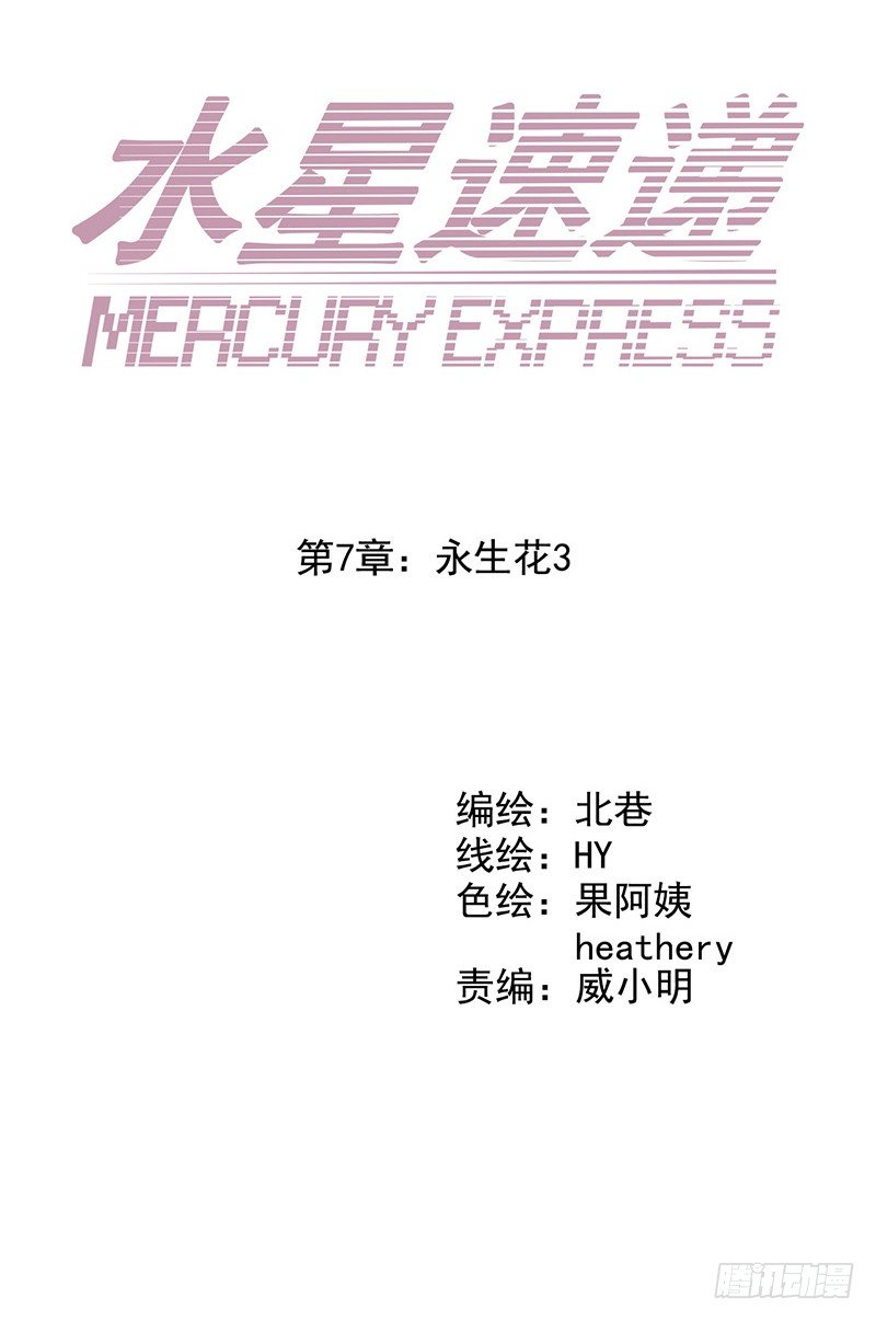 第7章 永生花36