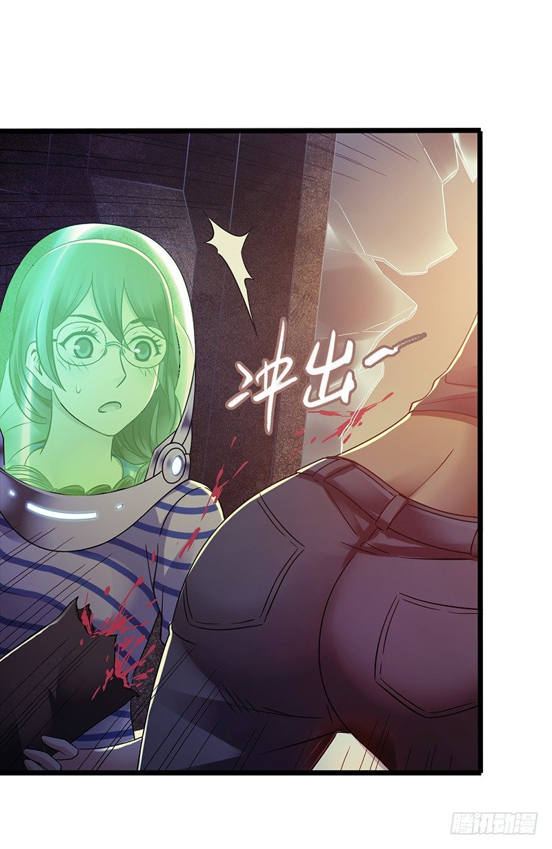第7章 永生花37