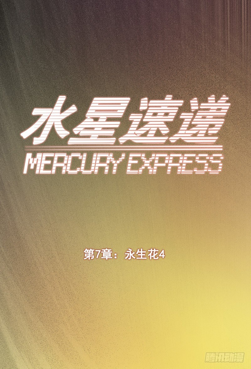 第7章 永生花40